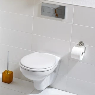 Vas WC Suspendat Ideal Standard Ecco 52x35xH35.5 cm