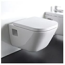 Vas WC suspendat Roca The Gap 54