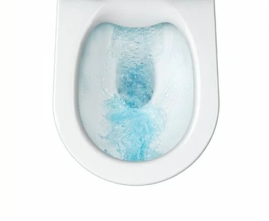 Vas WC Roca Nexo Rimless 53x36xH34.5 cm cu montaj suspendat
