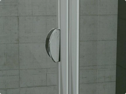 Usa de nisa pliabila dubla SanSwiss Top-Line TOPK 80xH190 cm