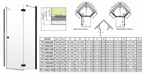 Usa cabina dus Radaway Essenza New Black PTJ 90 x H200 cm, profil negru mat, stanga