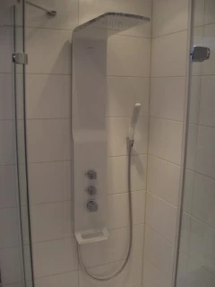 Panel de dus Hansgrohe Raindance Lift 180