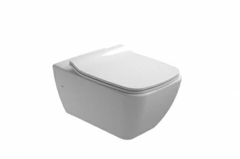 Vas wc Gala Emma suspendat Rimless 54 X 36 cm