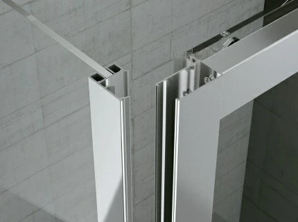 Usa de nisa batanta SanSwiss Top-Line TOPP 80xH190 cm, profil argintiu