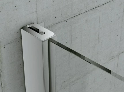 Usa de nisa batanta SanSwiss Top-Line TOPP 80xH190 cm, profil argintiu