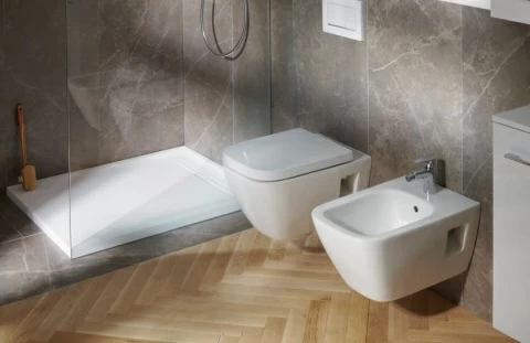 Vas WC suspendat Geberit Selnova Rimless Square 54x35xH33 cm