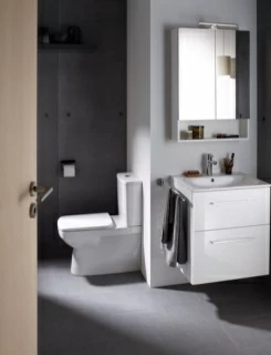 Vas WC Geberit Selnova Square Rimless 68x35xH40 cm