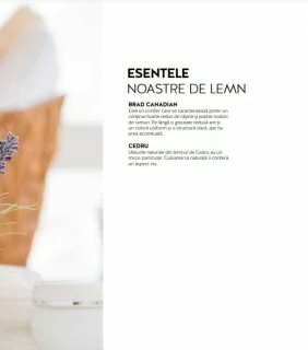 Sauna infrarosu Sanotechnik Ruby 2 lemn canadian 120x100xH195 cm cromoterapie