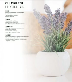 Sauna infrarosu Sanotechnik Ruby 2 lemn canadian 120x100xH195 cm cromoterapie