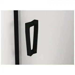 Usa de nisa culisanta SanSwiss Cadura CAS2 110xH200 cm profil negru mat