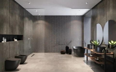 Cabina dus Walk-In Radaway Modo X II 155xH200 cm