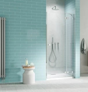 Usa nisa pivotanta Radaway Essenza Pro DWJ 110XH200 cm, dreapta