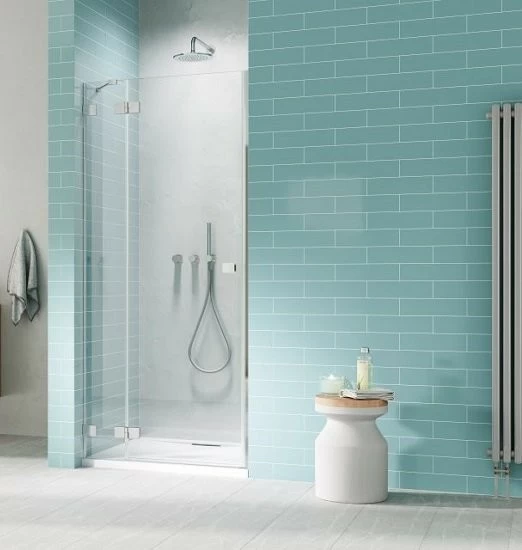 Usa nisa pivotanta Radaway Essenza Pro DWJ 110XH200 cm, stanga