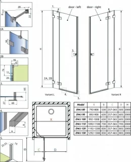 Usa nisa pivotanta Radaway Essenza Pro DWJ 110XH200 cm, stanga