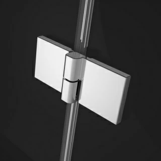 Usa nisa pivotanta Radaway Essenza Pro DWJ 100XH200 cm, stanga