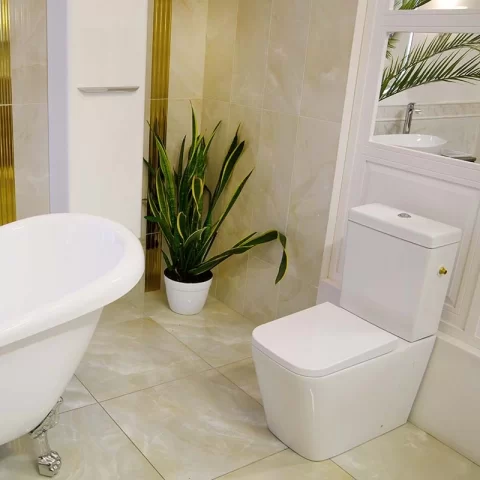 Set vas WC Fluminia Paris, rimless cu rezervor si capac soft-close 66.5x38xH84 cm.