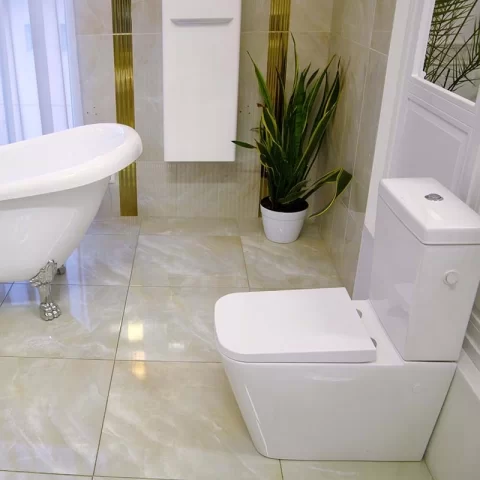 Set vas WC Fluminia Paris, rimless cu rezervor si capac soft-close 66.5x38xH84 cm.