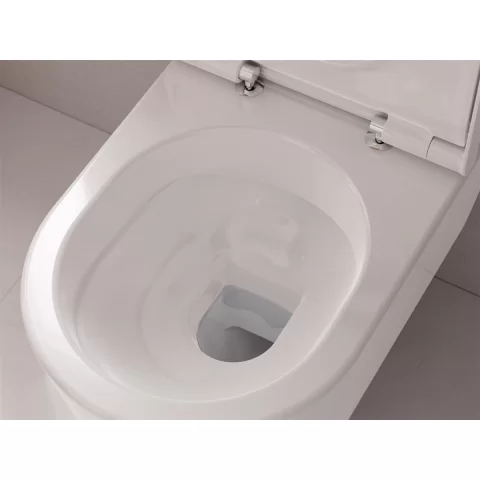 Vas wc Hansgrohe EluPura S AquaFall, fara capac, alb
