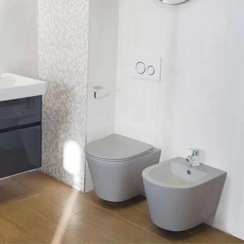 Bideu suspendat Fluminia Cleo, cu fixare ascunsa, 48,5 cm, gri mat