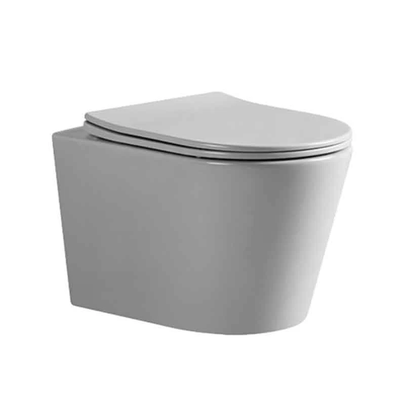 Vas WC suspendat Fluminia, capac soft close quick release, gri mat
